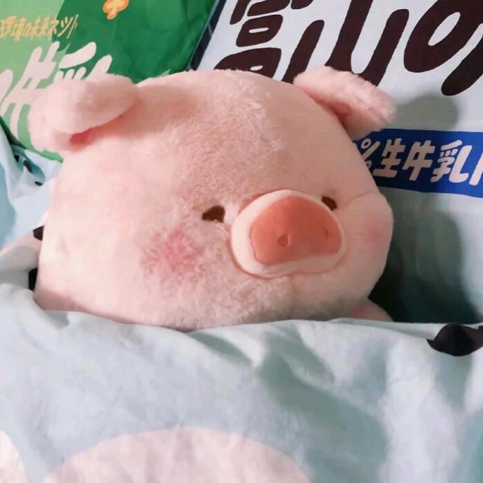 🌈质料