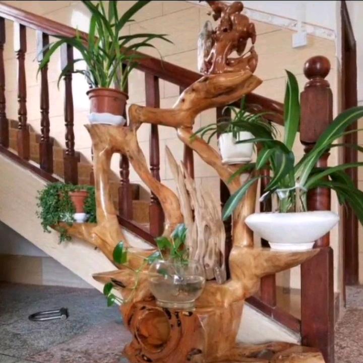 青春果