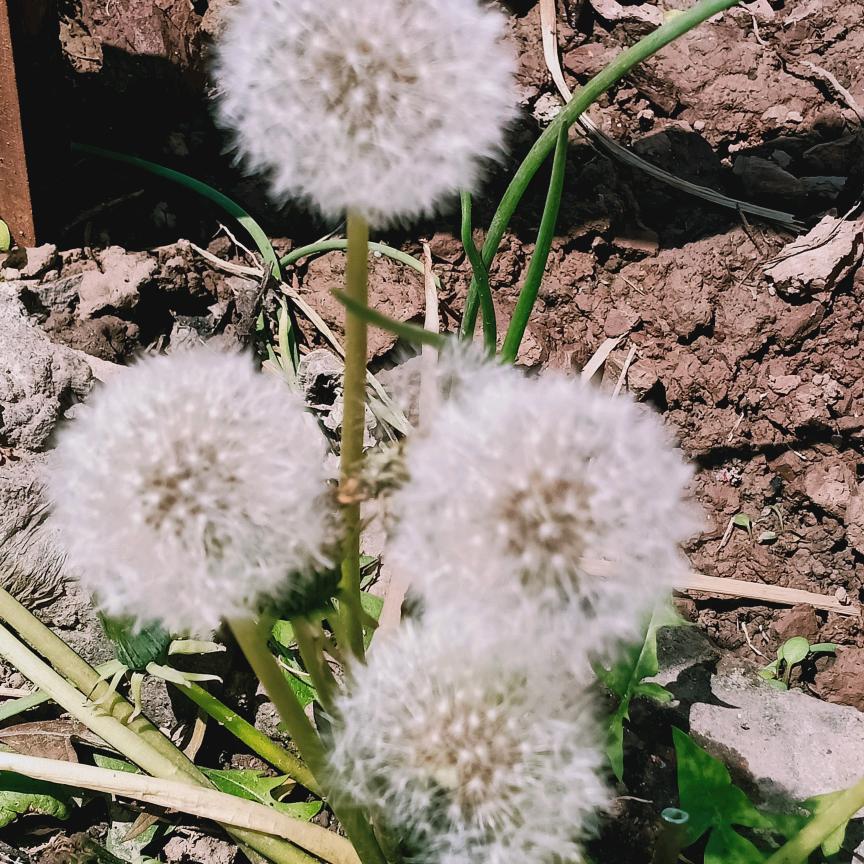 懿范