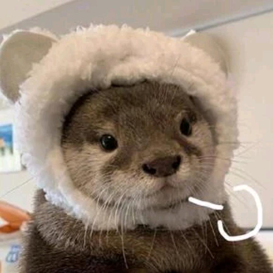 🐾shu發尔犸
