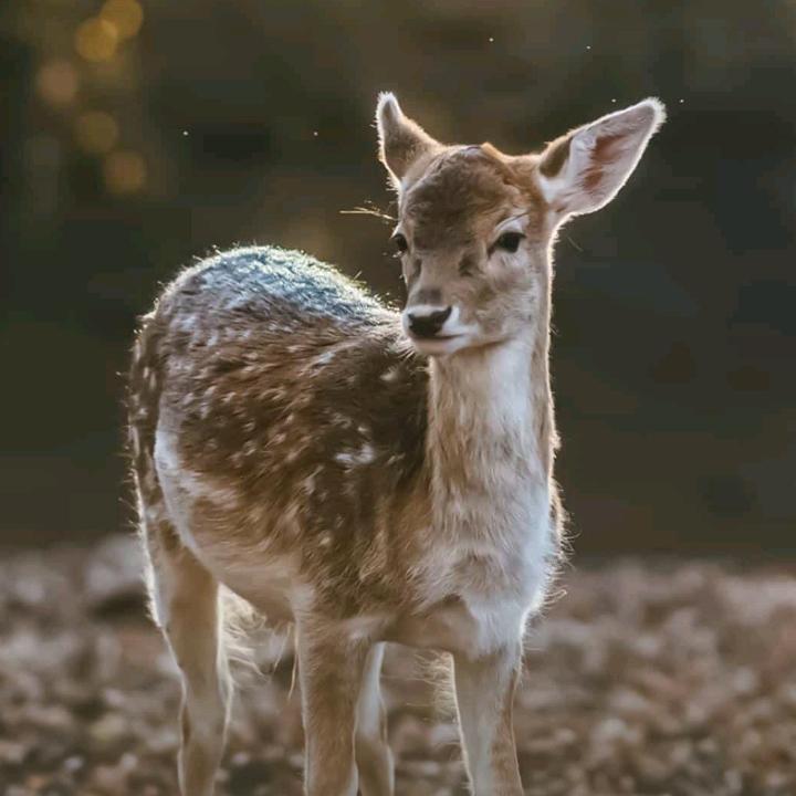 没想好起什么名