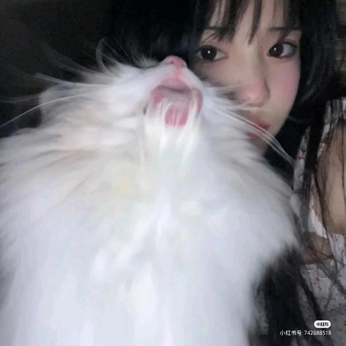 小Q.