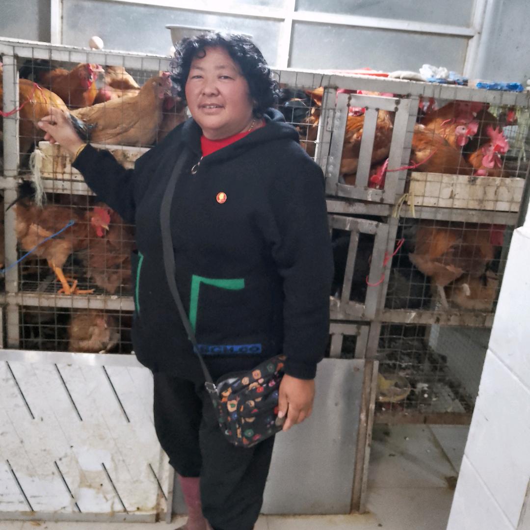 收鸡鸭鹅的杜老板