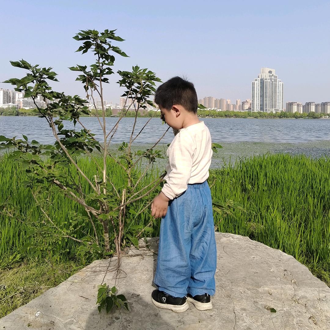 乐妈的生活记录