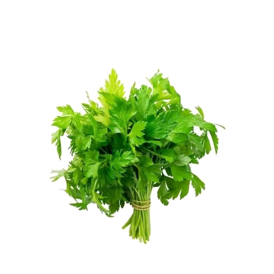 鲨鱼辣椒爱吃屁