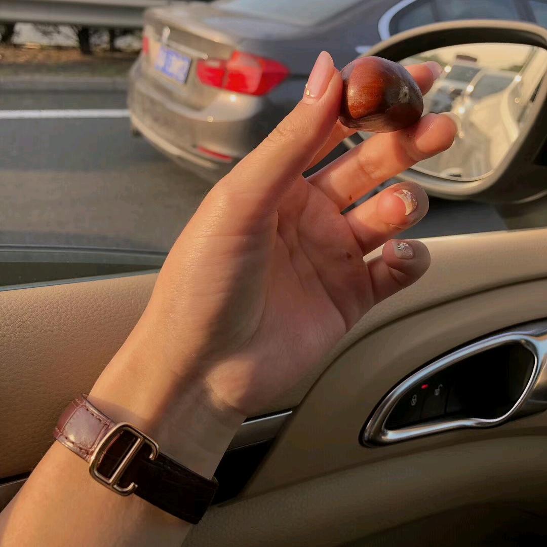 印第安老斑鸠