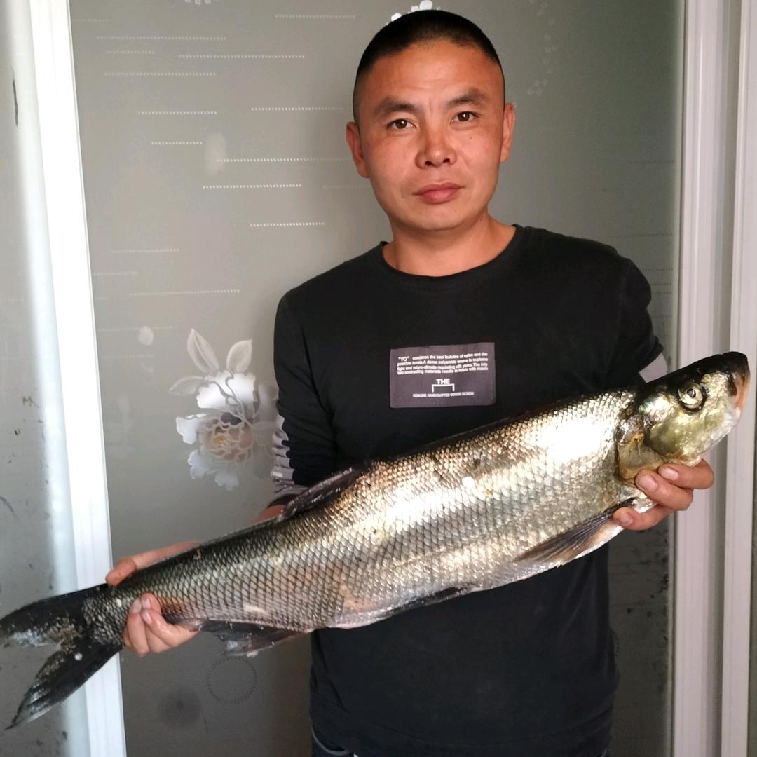 吉林钓鱼小哥