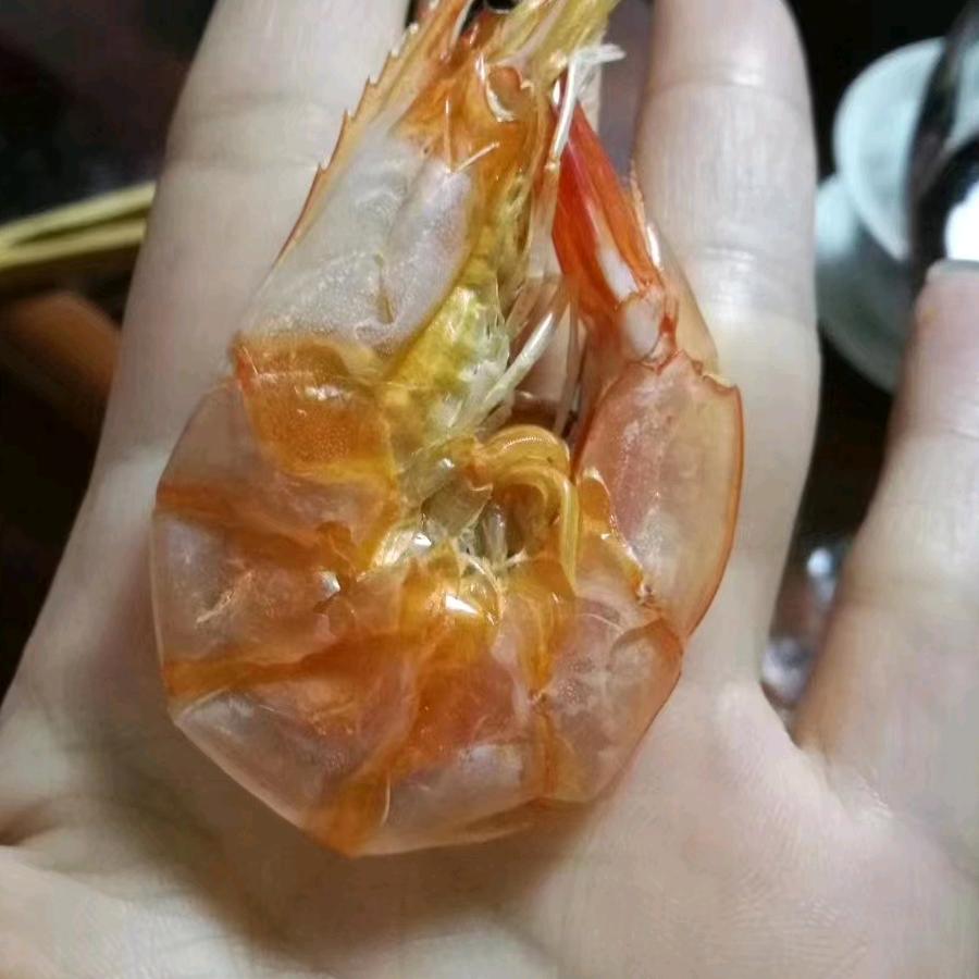 尝来尝往1
