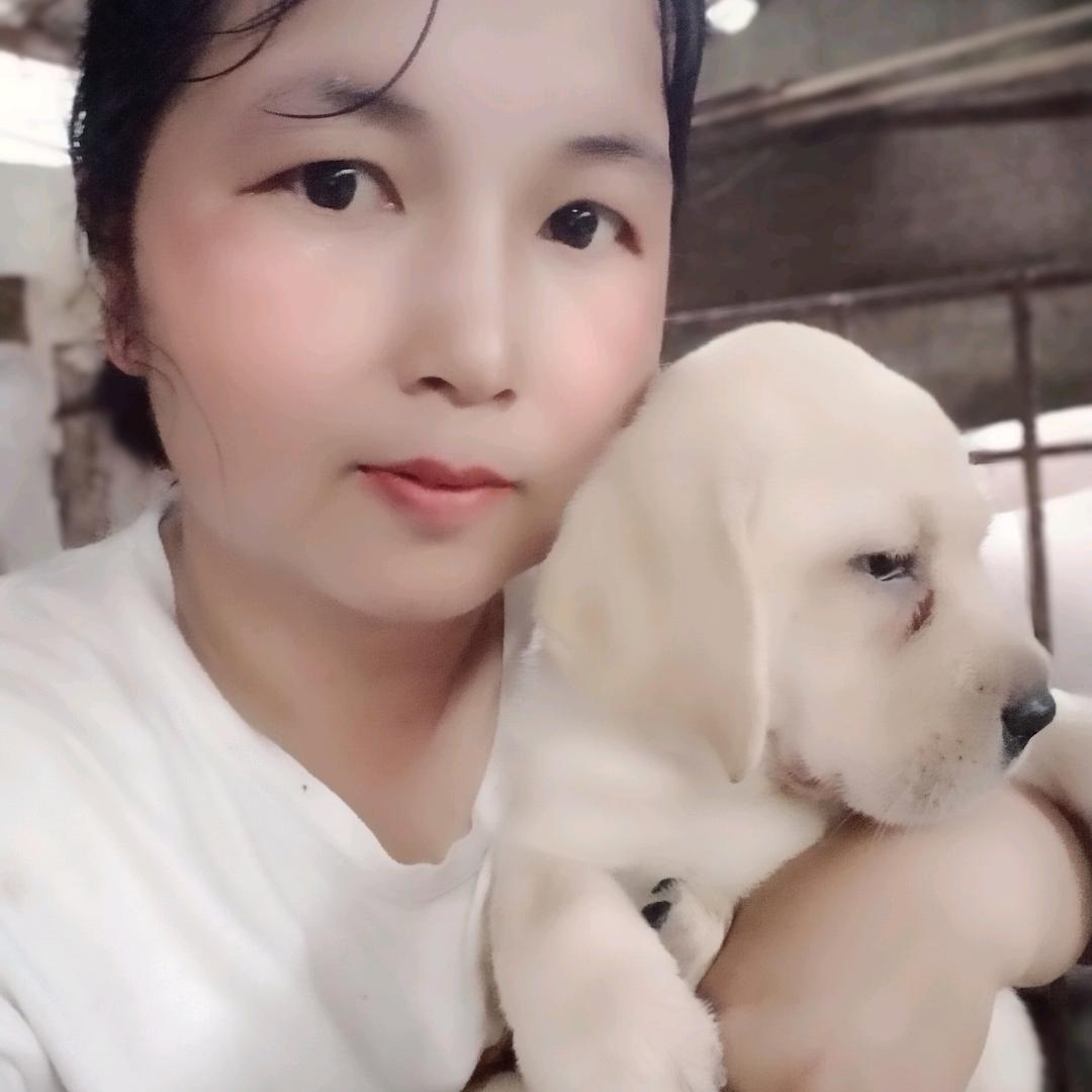 ໑ຼₒ₂5ღ᭄吴家大菇凉🕊꧔ꦿ᭄💞