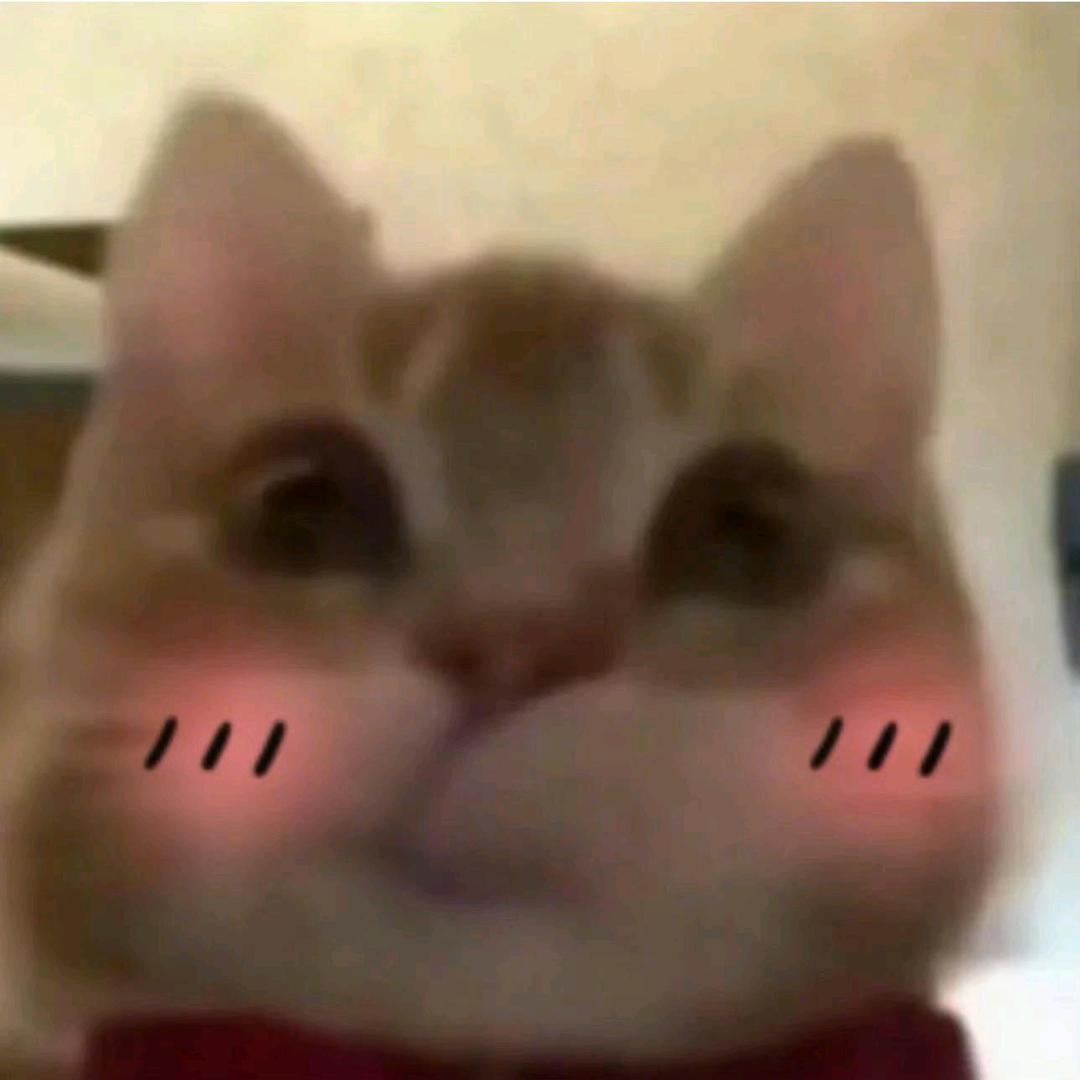 莫非又碎了