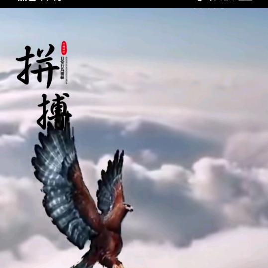 时尚好物精选小铺Wfk