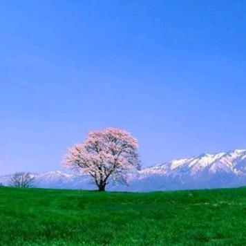 李果果