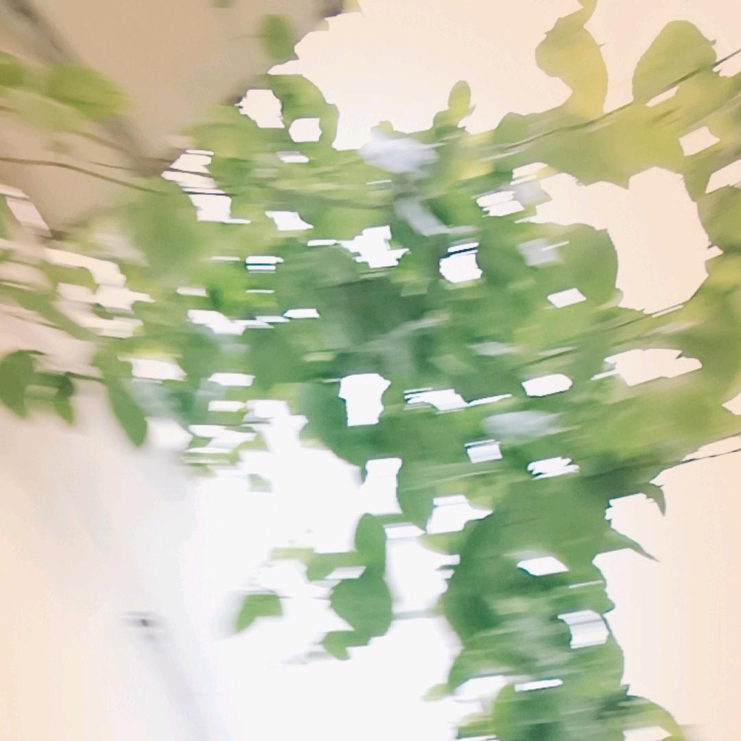 用户2315418363949周玉芳