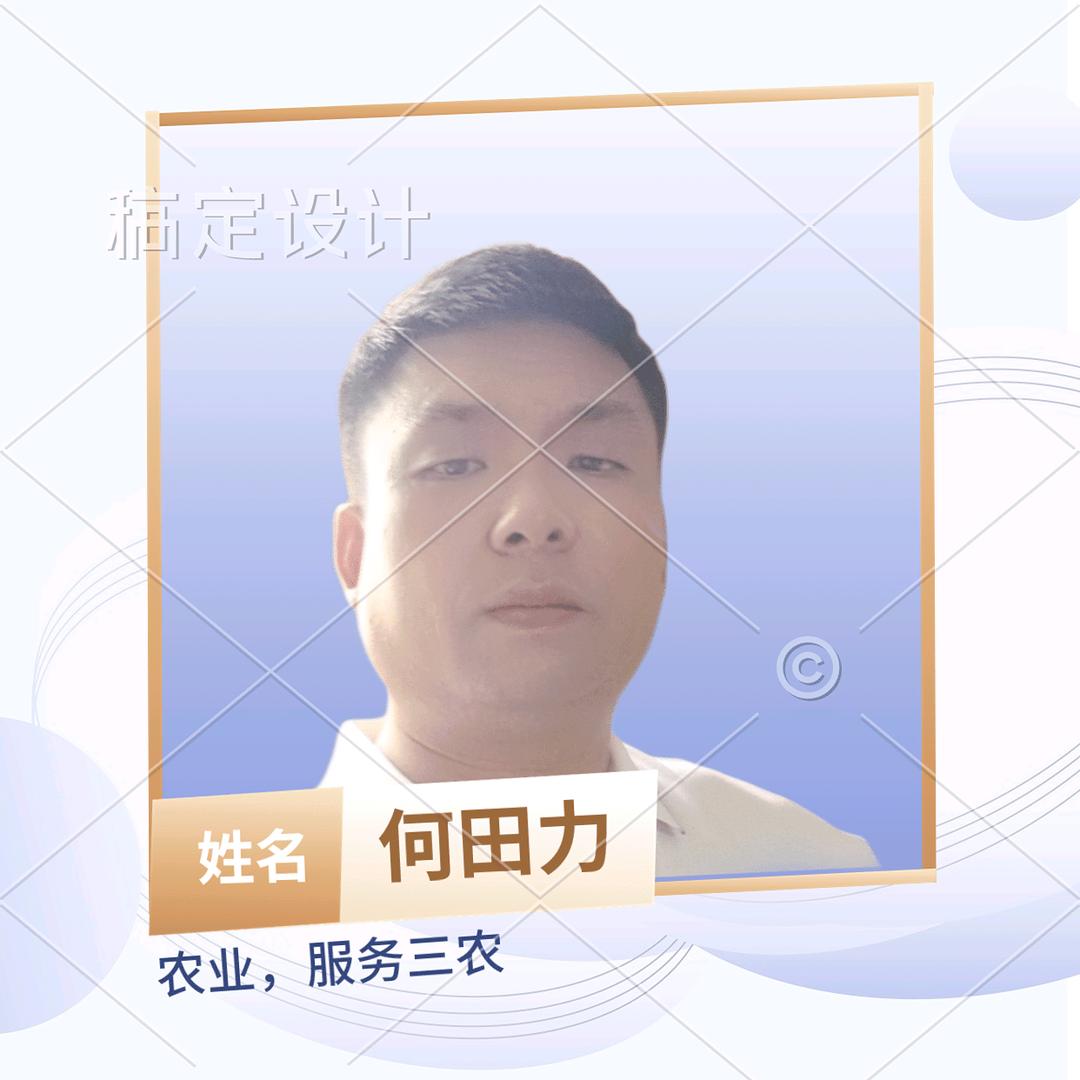 田力水稻种植专业合作社
