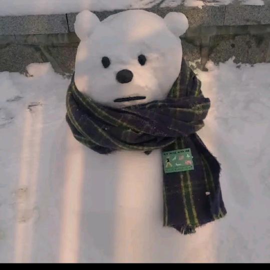 戴围巾的小白熊