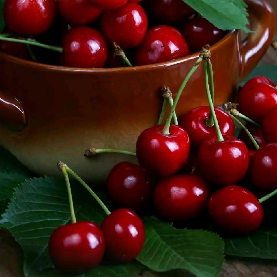 ❆এ᭄༊💕🍎💞ღꦿ࿐໑