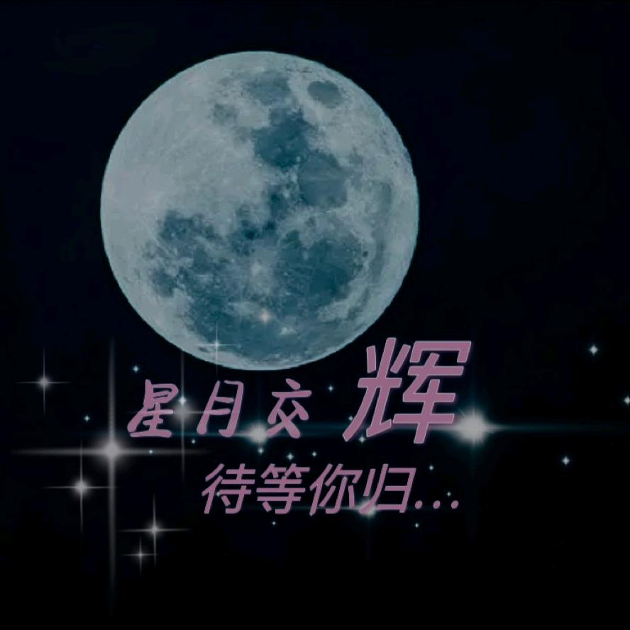 独在异乡为异客