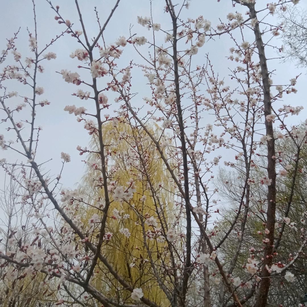邢红明工作室