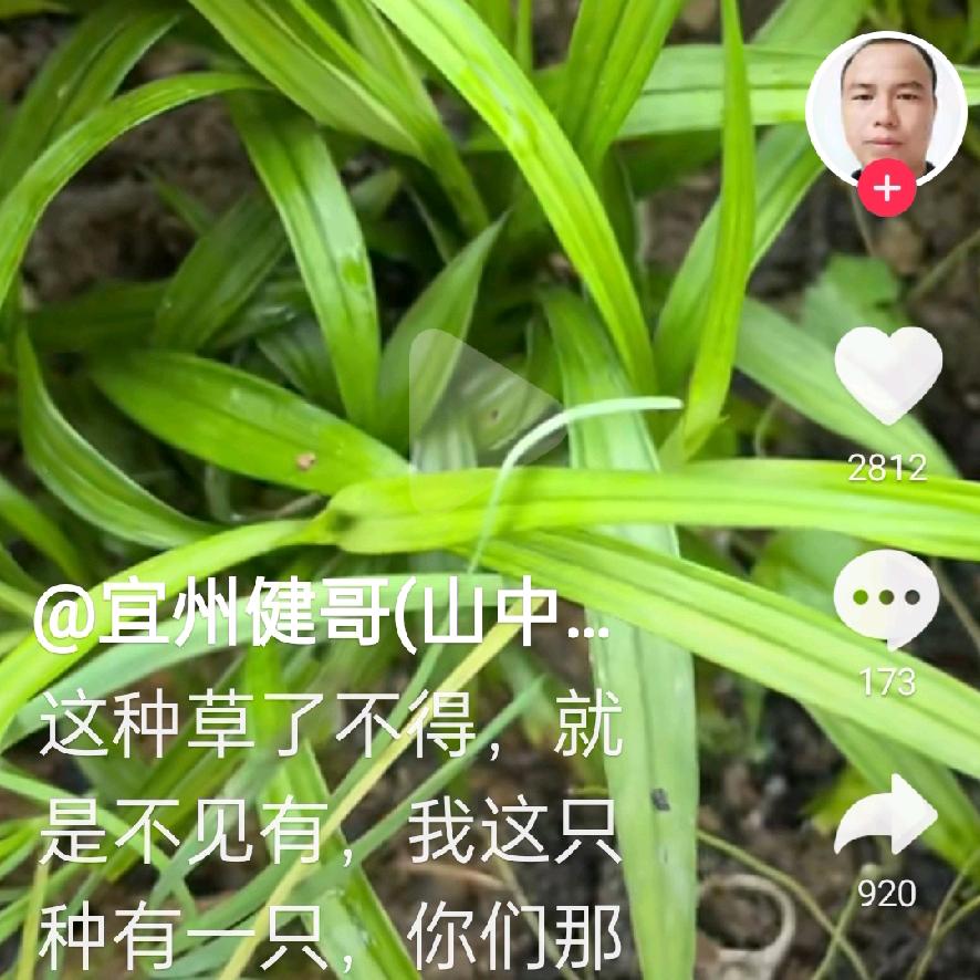 福计