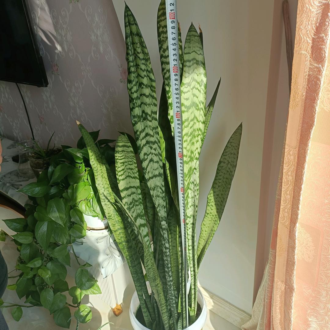 娟姐理发五元(好物分享)