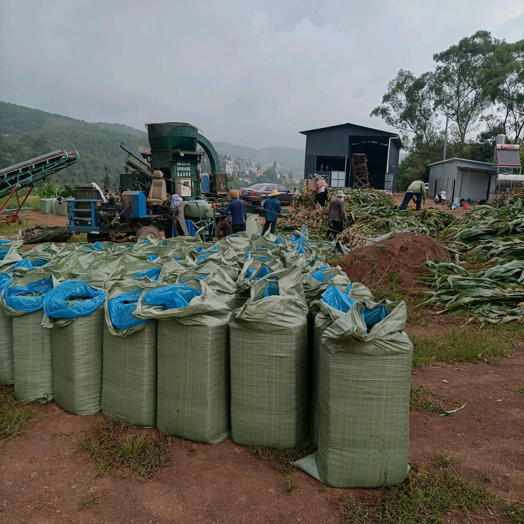 楚雄青储饲料物博农业有限公司