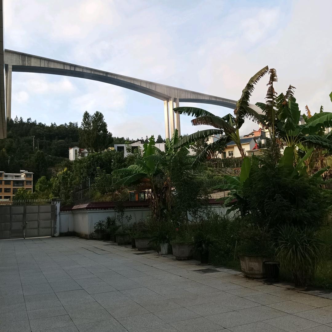 袁顺芸