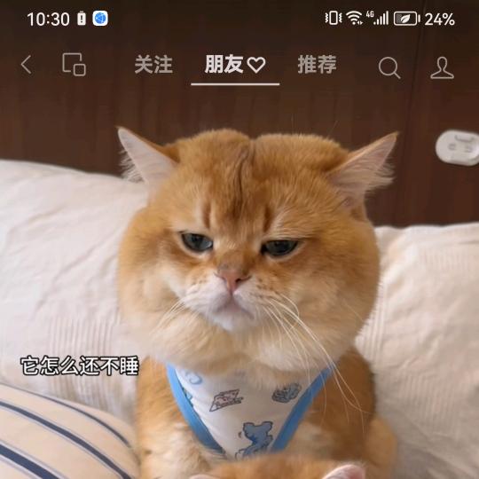 哈哈3.141596