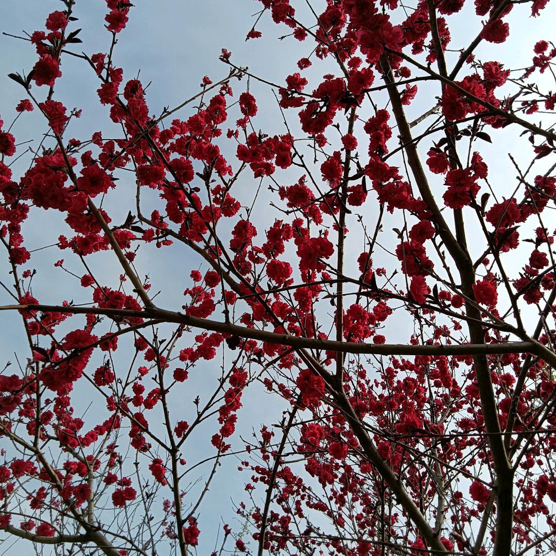 🚬᭄ 无ꦿ人懂🦋ഒᩚ࿐