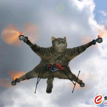 既不愤世也不嫉俗