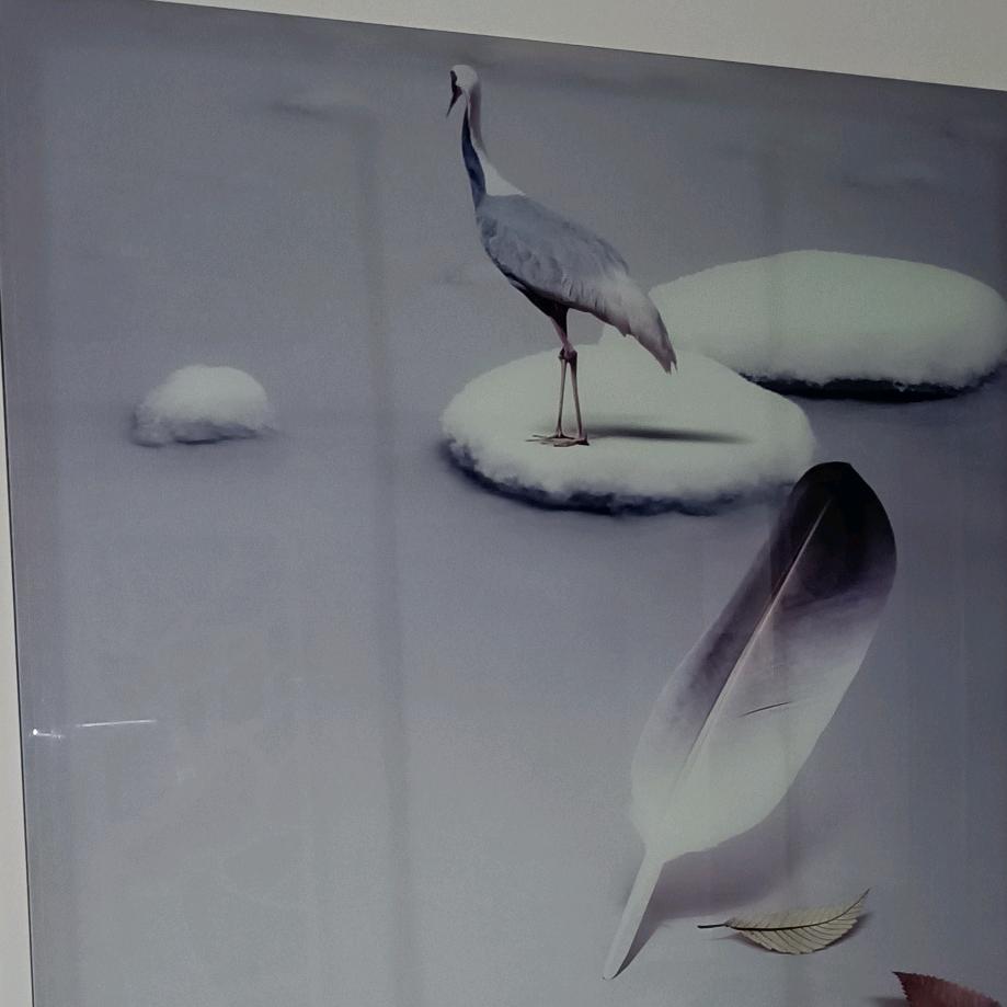 顺其自然     随遇而安