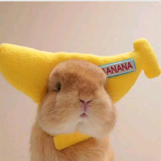 是小小雨呀～～