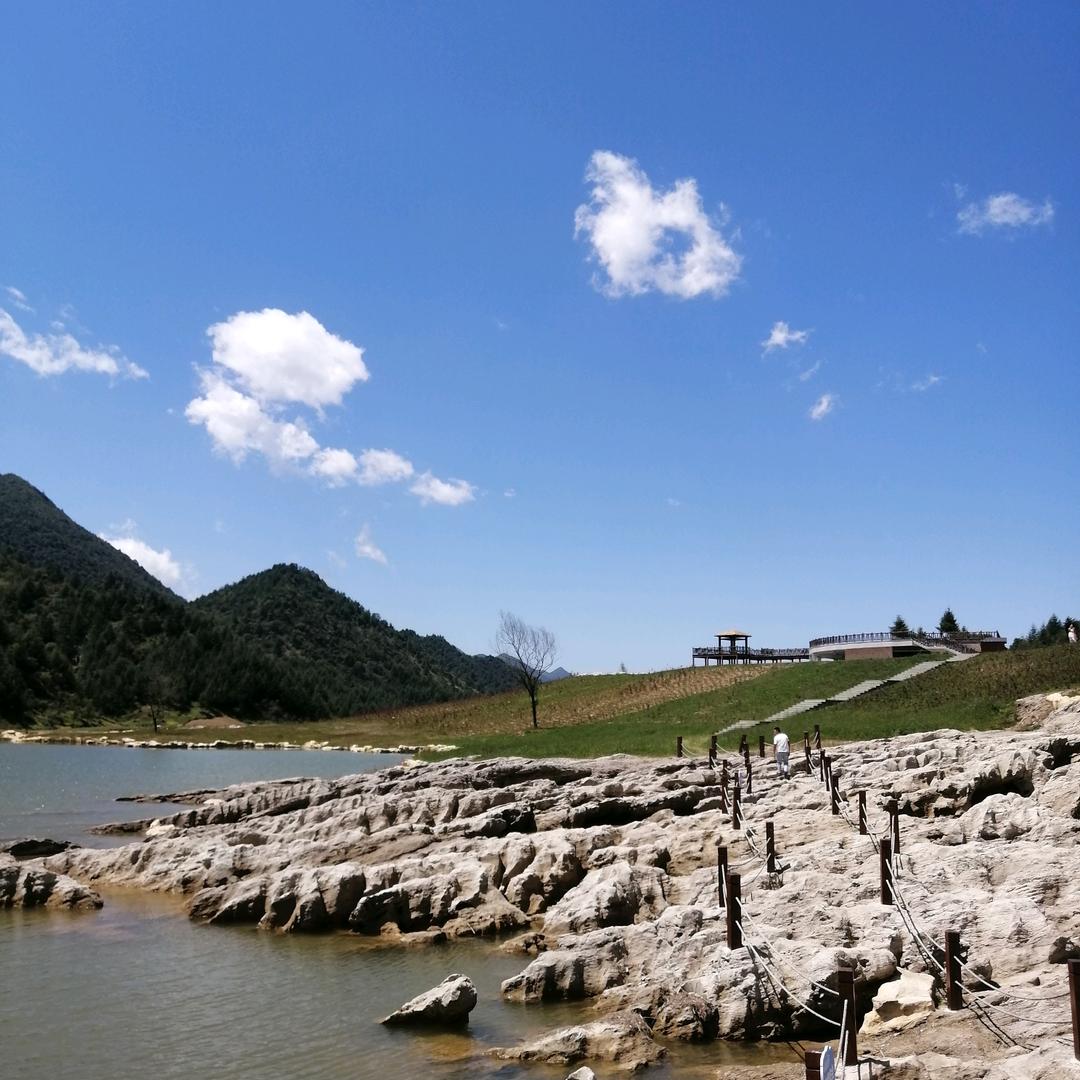 礼物一停，感情归零