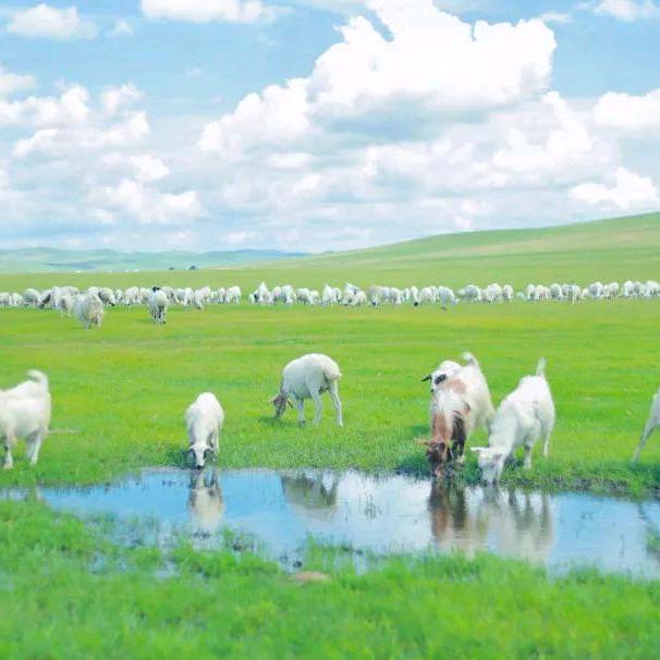 三娃妈～赚钱养家