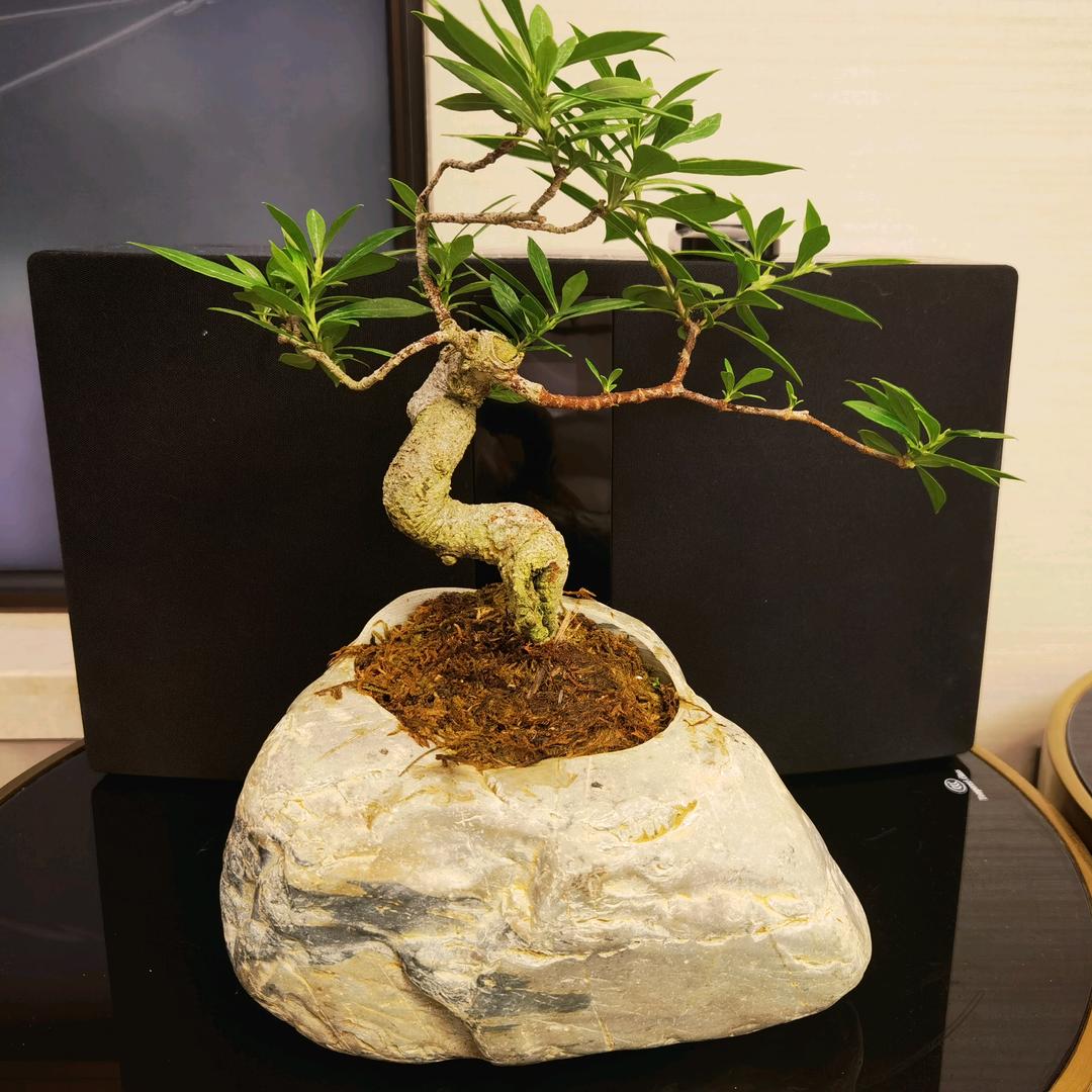 平平