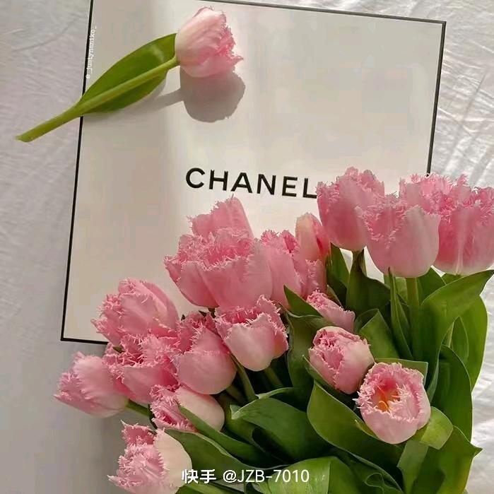 王执玉.B