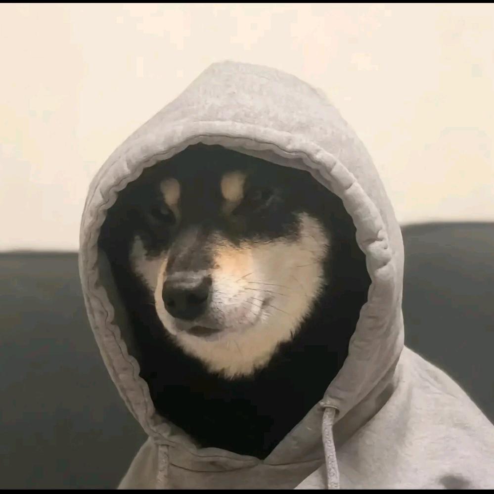 小洋来辽