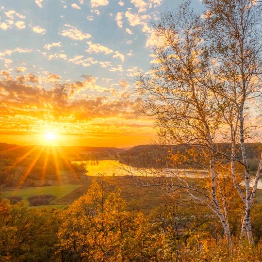 纵横羊肉-林红👑