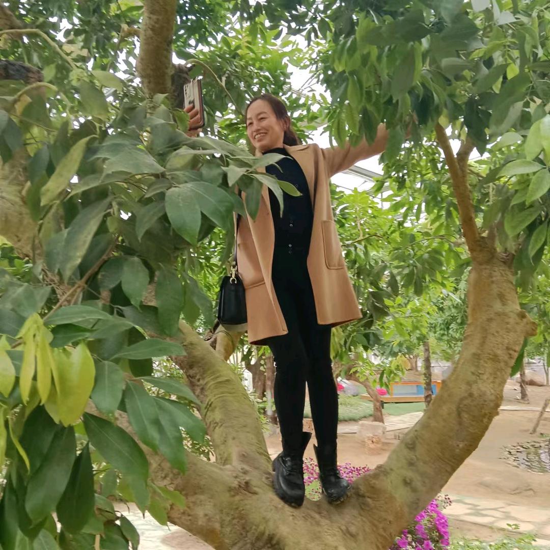 杨八妹