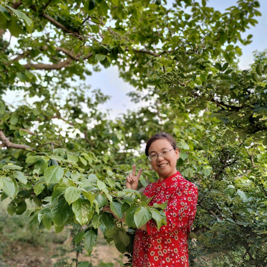 富平柿饼荣姐