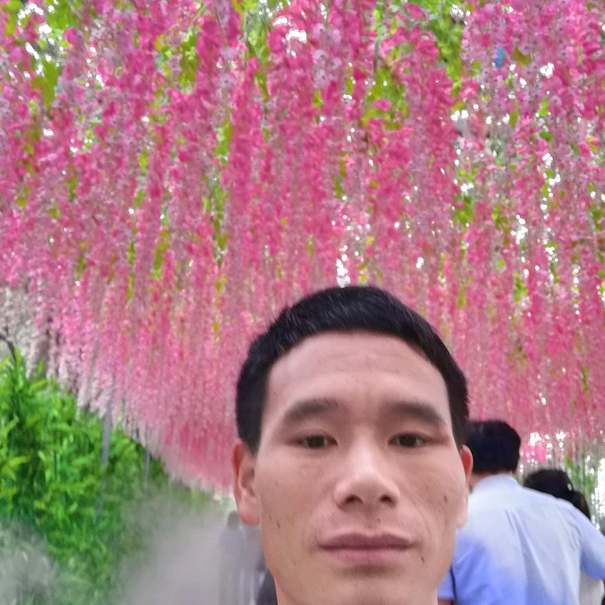 真心找对象