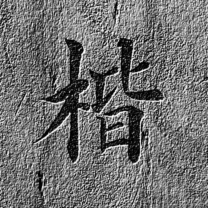 赵鑫