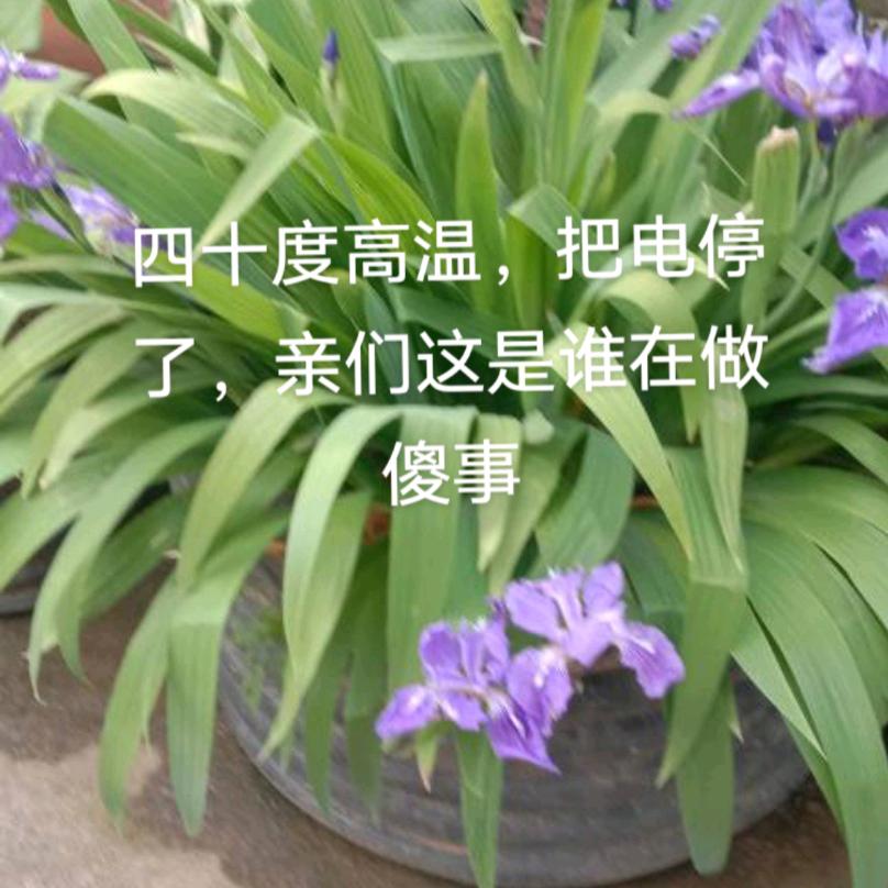 开心快樂，幸福滿滿的