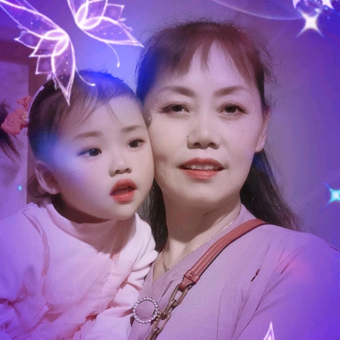 段金红