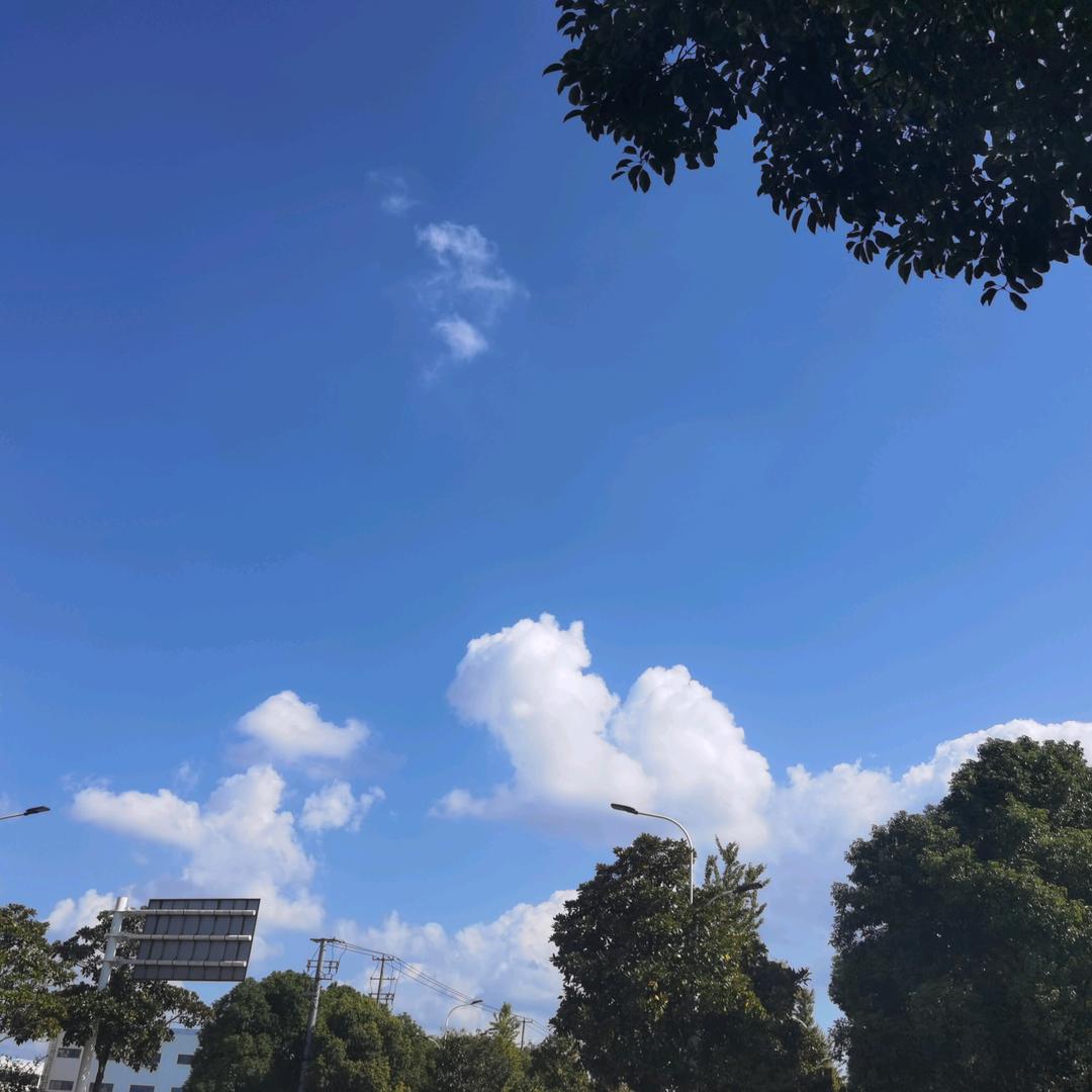 开 心 人 生