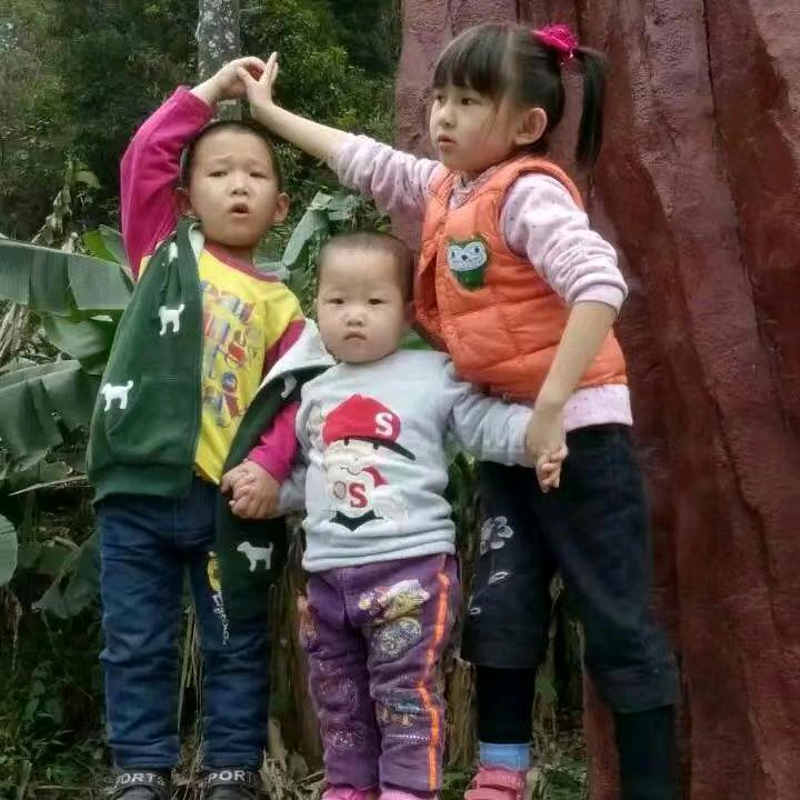 陈大姐