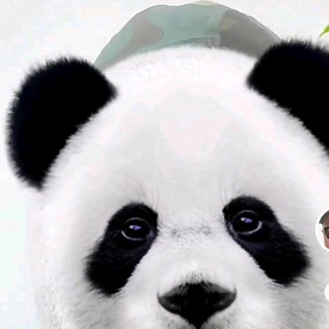 小马哥😘😘😘😘