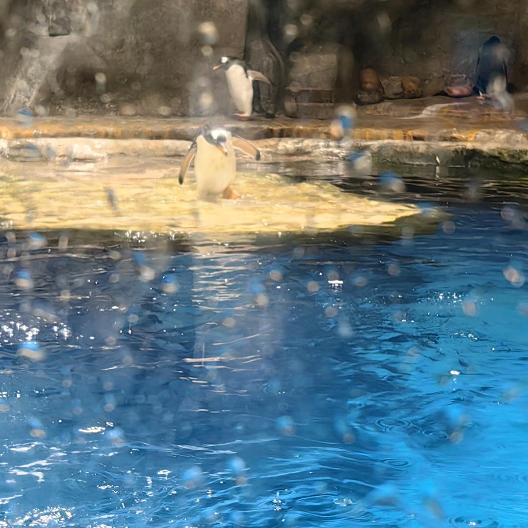 雄才伟略