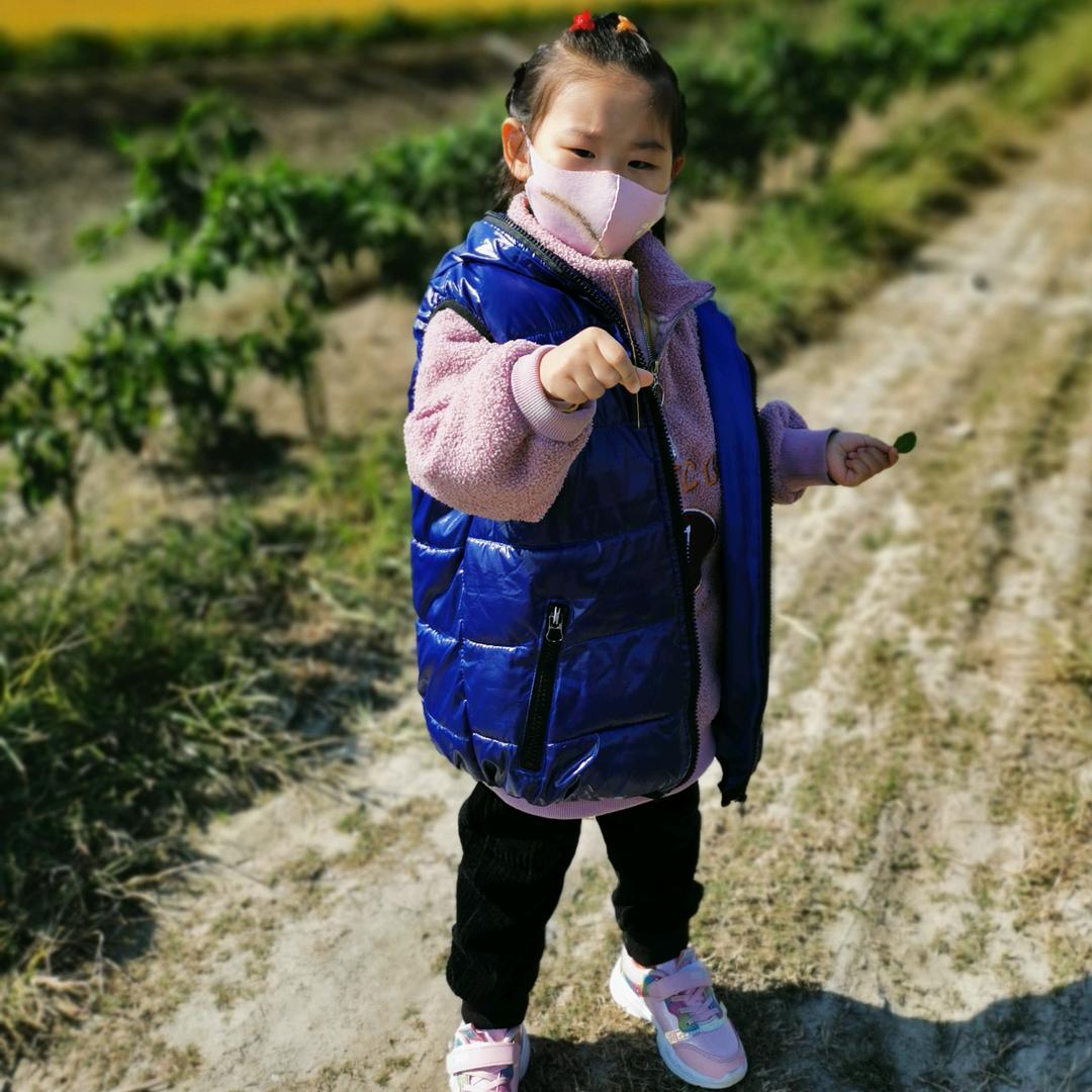 四叶草