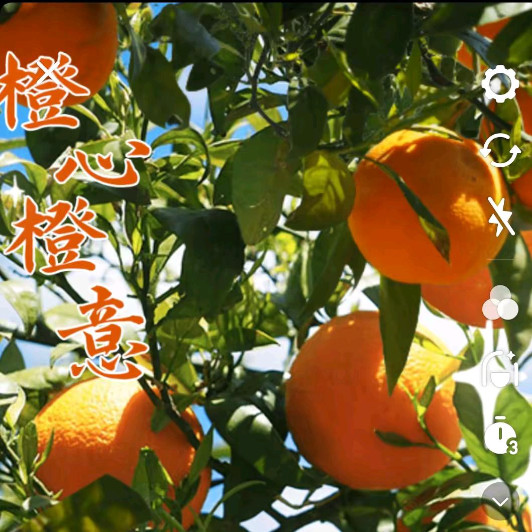 何兴禄