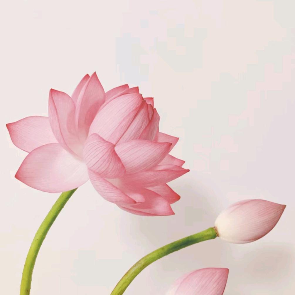.欢喜.